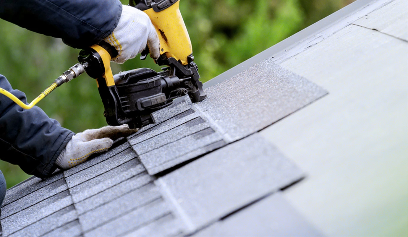 Professional Roofing Services